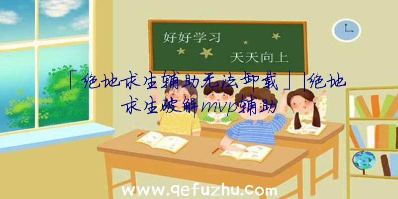 「绝地求生辅助无法卸载」|绝地求生破解mvp辅助